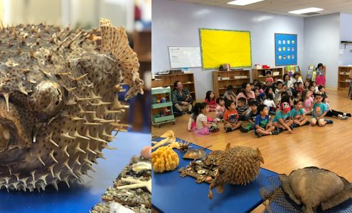 Palo Alto Academy Bilingual Montessori