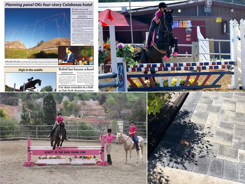 Schott In The Dark Farms