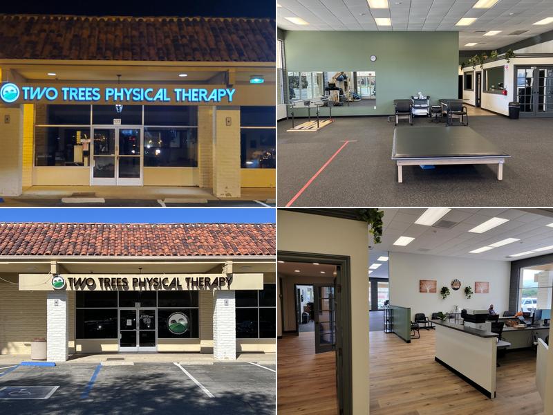 Two Trees Physical Therapy