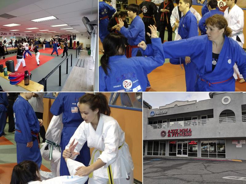 Aziz Mixed Martial Arts Inc