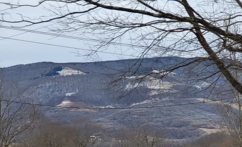 MountainTop Realty Davis