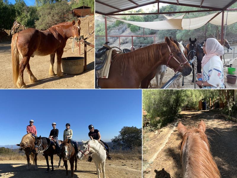 Los Angeles Horseback Riding