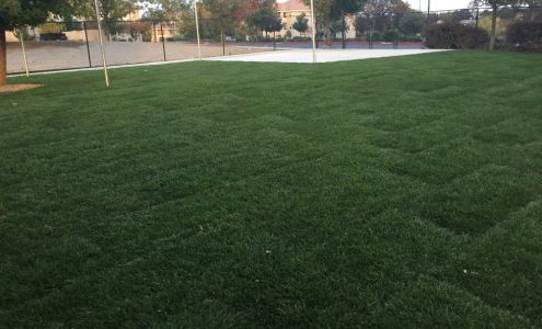 Stepping Stones Preschool