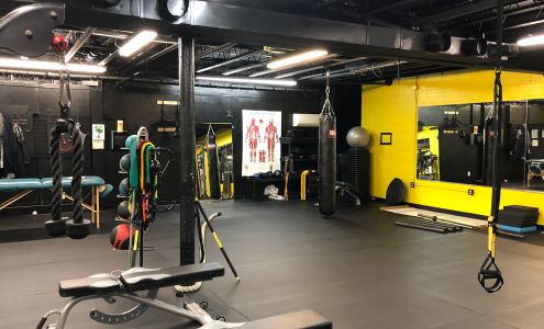 Vigor Transformations