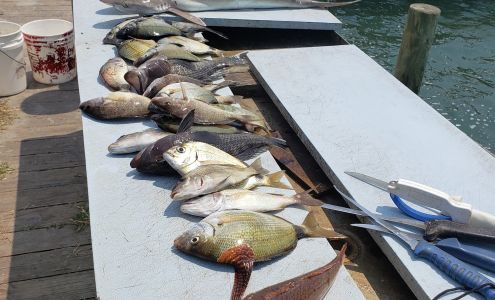 Nancy Lee Fishing Charters Swansboro