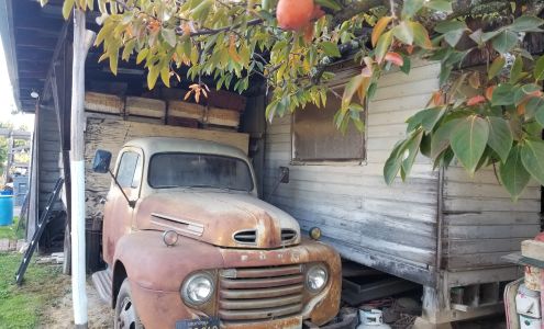 Otow Orchard Granite Bay