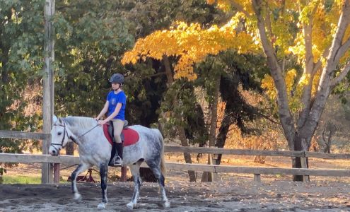 Oak Creek Training Stables 6900 Rancho Los Pavos Ln, Granite Bay California 95746