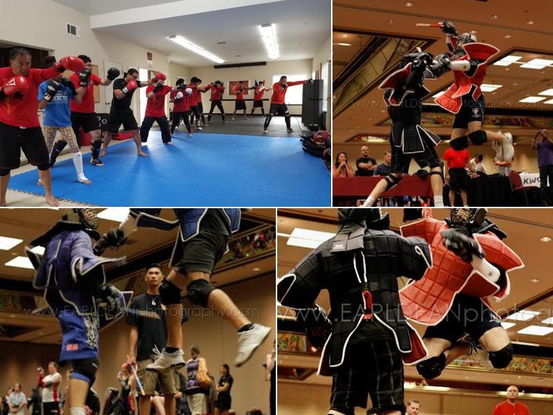 Mixed Combative Systems