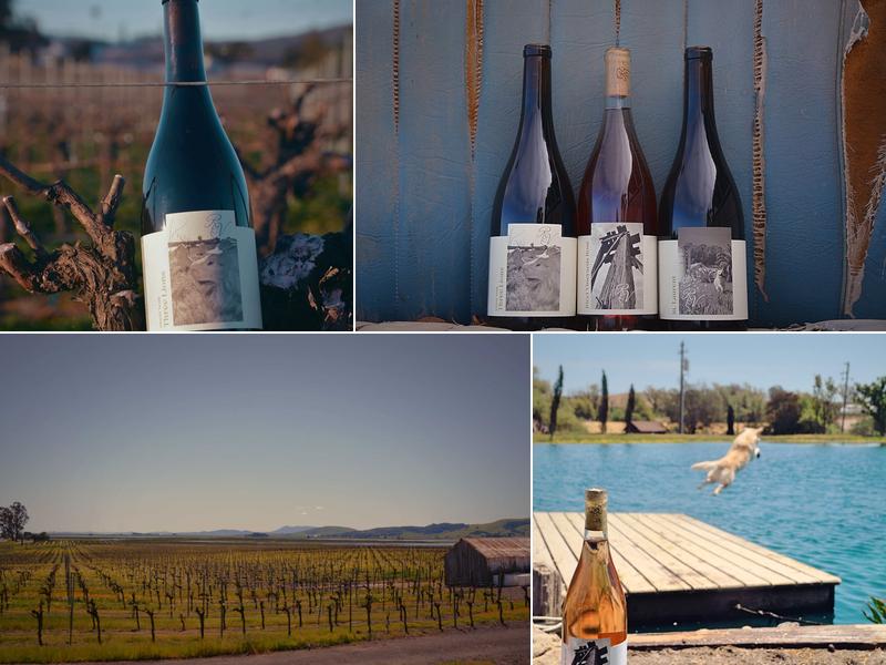 Ricci Vineyards | Carneros