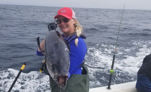 Offshore Northwest Westport