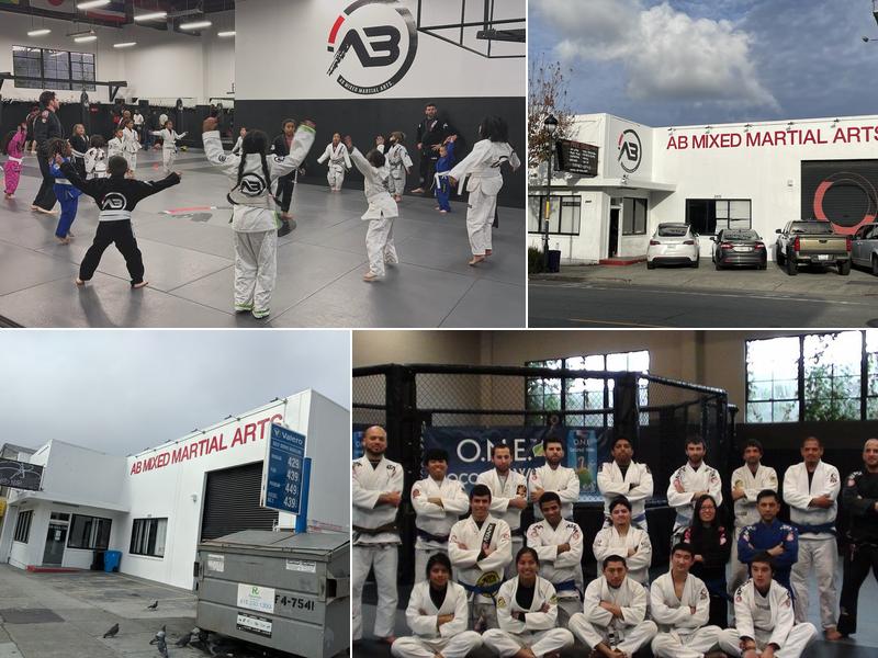 AB Mixed Martial Arts Academy