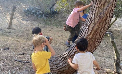 Crestwood Hills Cooperative Nursery School
