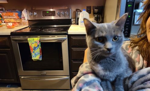 Hancock County Humane Society