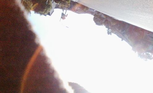 Dr. Haleh Guilak, O.D.