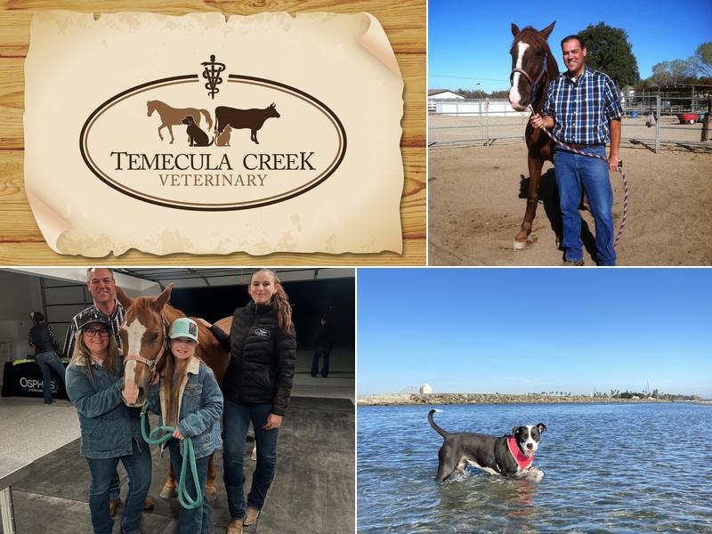 Temecula Creek Veterinary