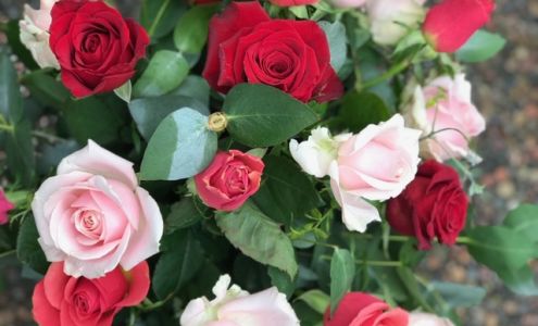 Antioch Balloons Baskets And More