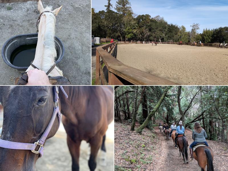 Chaparral Ranch at Woodside