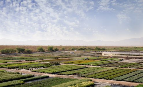 Civano Growers - Wholesale Plant Nursery