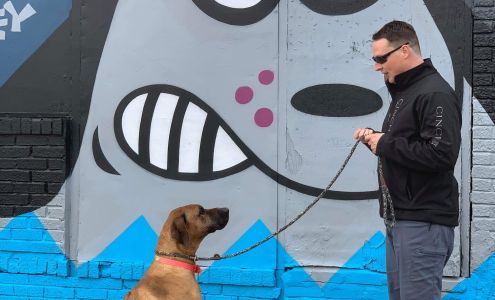 The Existential Canine