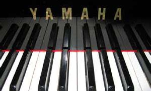 Schwendtner Piano Services