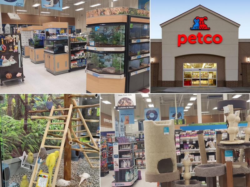 Petco Grooming