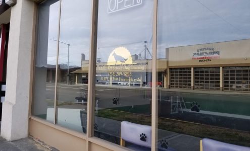 Elite K9 Service Dog Training