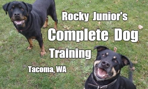 Rocky Junior's Dog Training Service