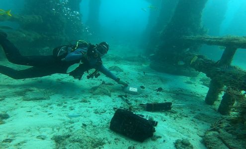 Neptune Memorial Reef