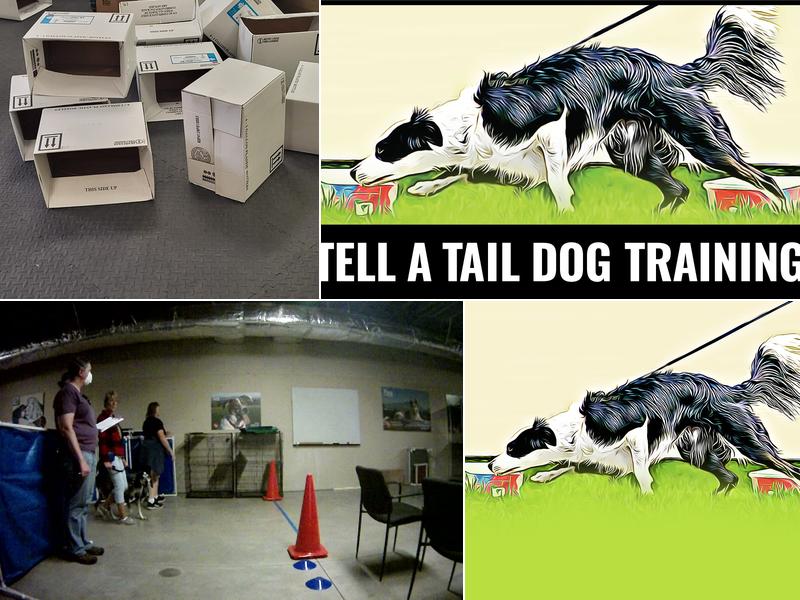 Tell a Tail Dog Training