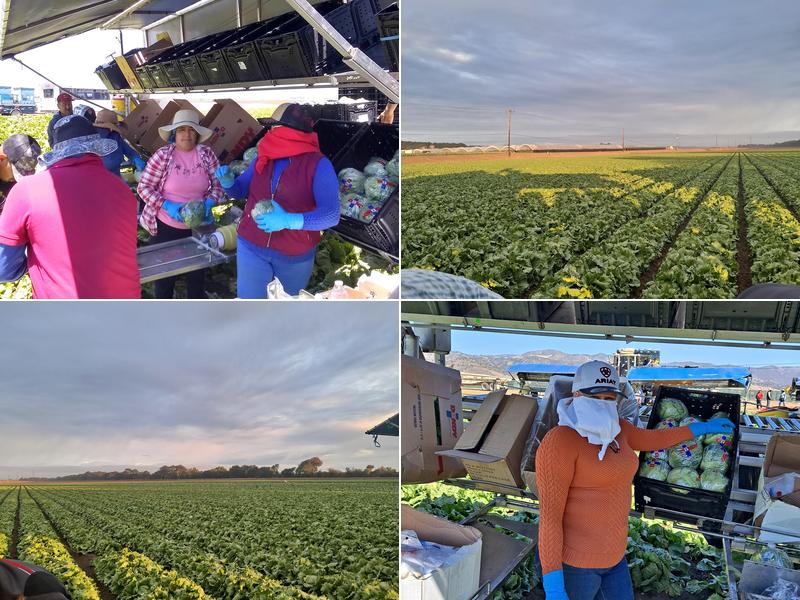 J R Custom Harvesting Co