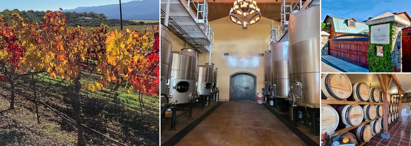 David Arthur Vineyards