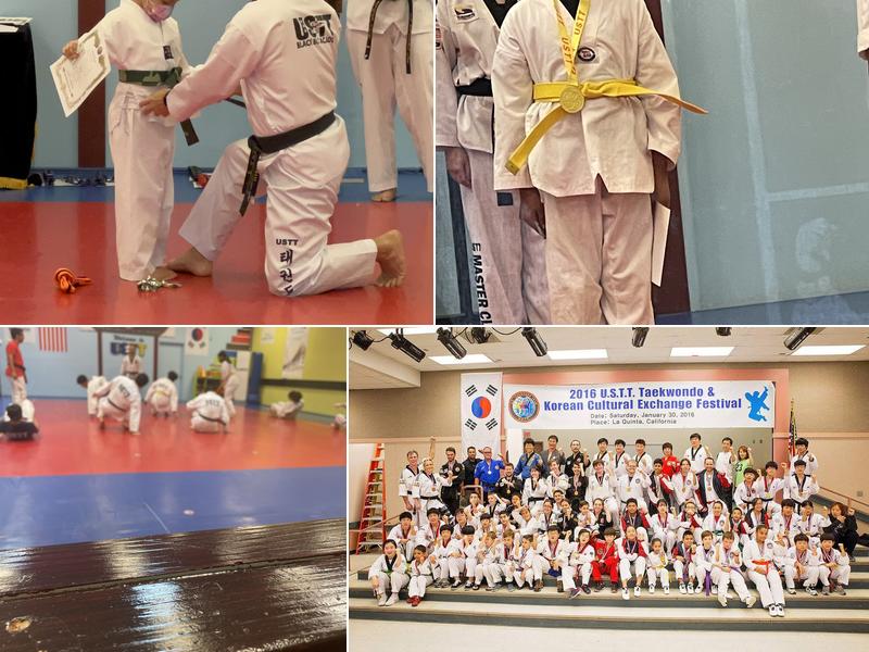 US Taekwondo Team (USTT)