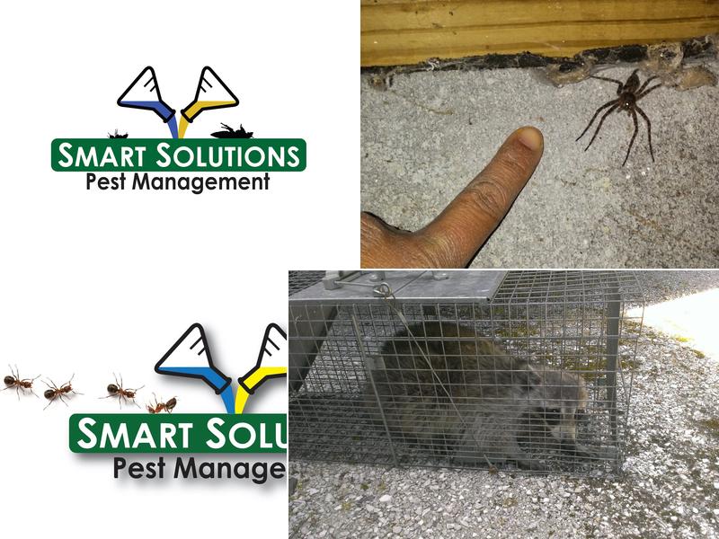Smart Solutions Pest Management