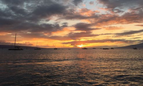 Elegant Eye Optometry Center Of Rancho Mirage