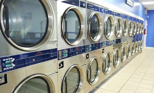 Busy Bees Coin Laundromat