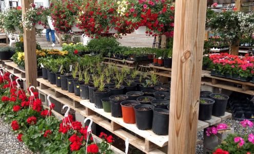 Colonial Gardens LLC Colonial Beach