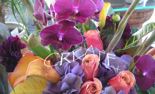 El Dorado Hills Florist/ TM