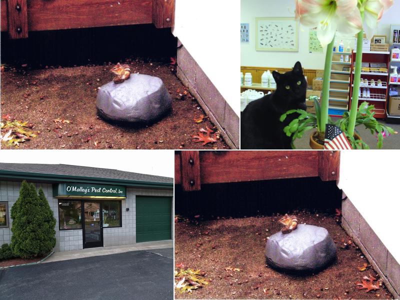 O'Malley's Pest Control Inc