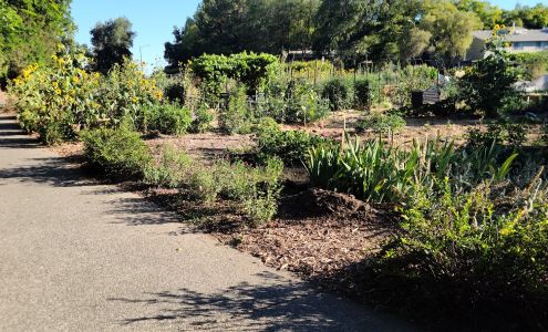 Rivendell Nursery School