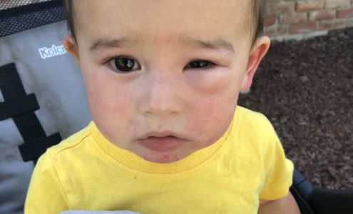 Twinkle Little Star Center