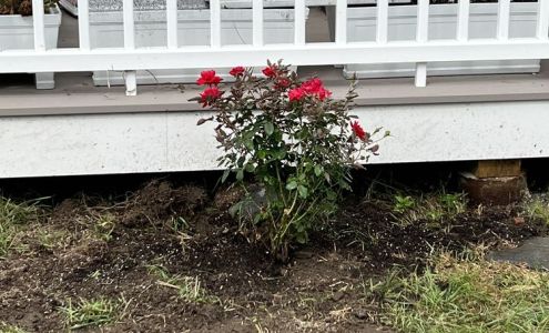 Lowe's Garden Center