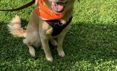 Off Leash K9 Training, Athens