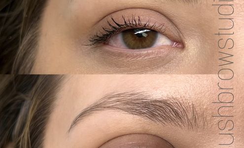 The Blush Brow Studio