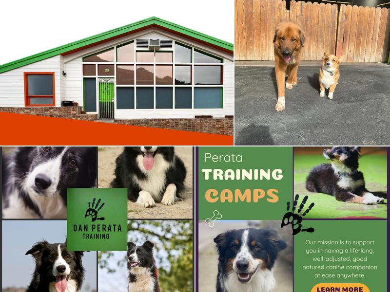 Dan Perata Training and Boarding