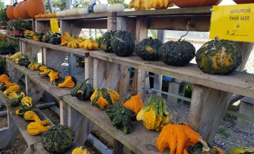 Maggy D's Garden Center