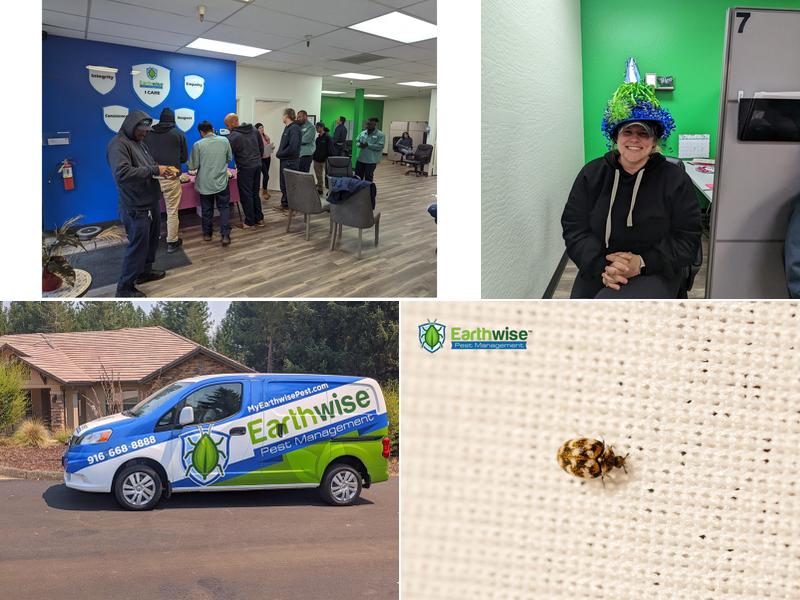 Earthwise Pest Management