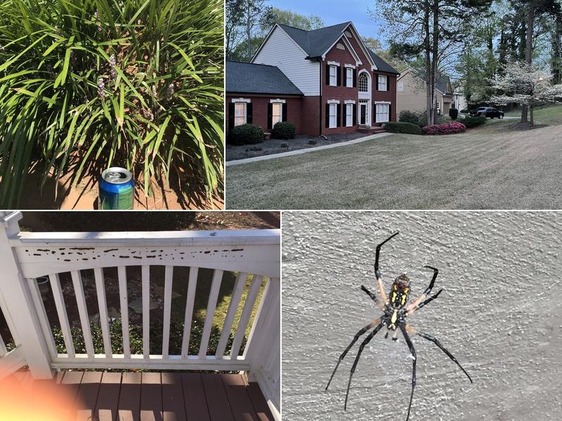 Halliday Pest Control