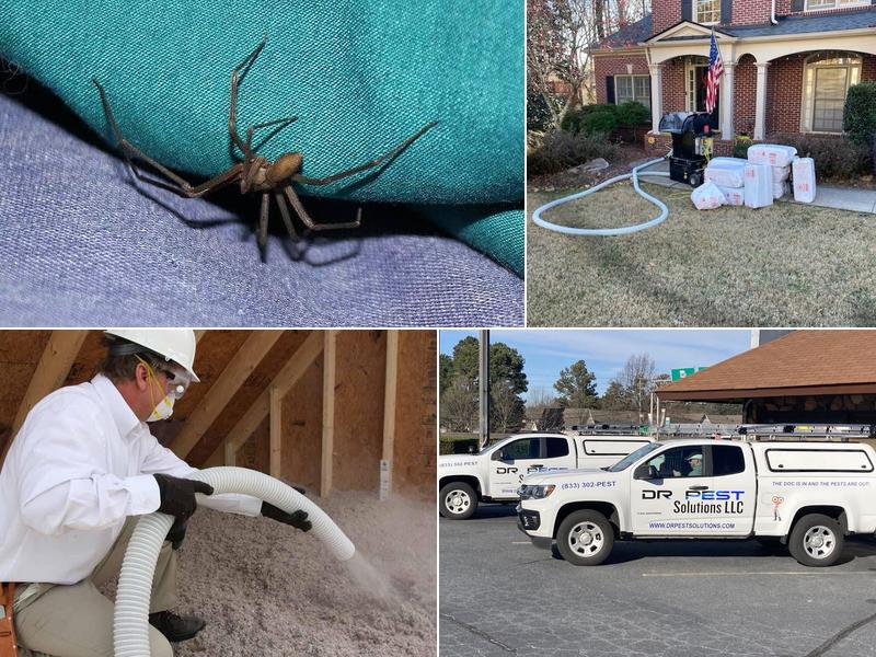 Dr. Pest Solutions LLC