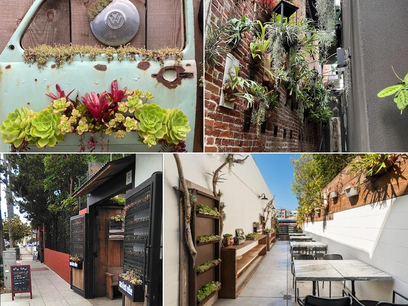 Succulent Coffee 306 N Tremont St, Oceanside