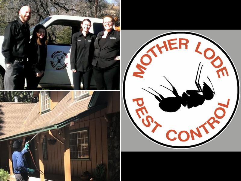 Mother Lode Pest Control
